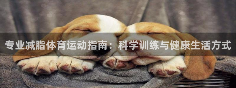 关键词：专业减脂体育运动指南：科学训练与健康生活方式