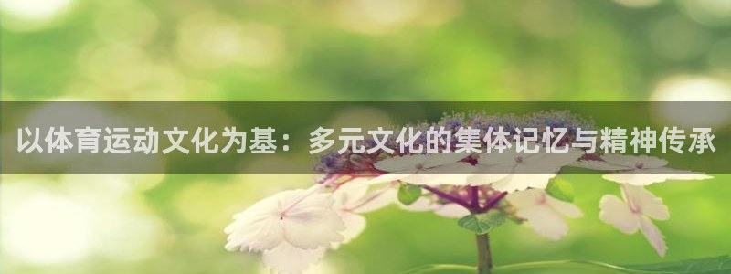 64体育：以体育运动文化为基：多元文化的集体记忆与精神传承