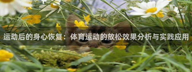 64体育