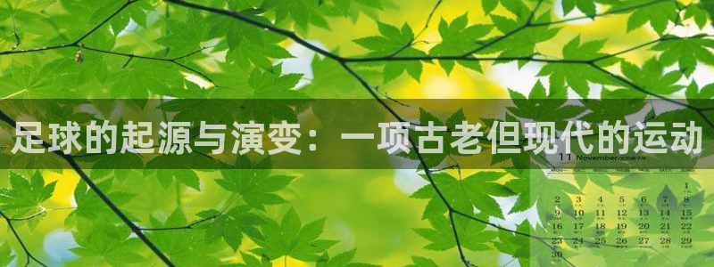 64体育