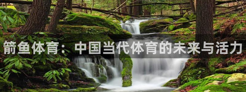 64体育：箭鱼体育：中国当代体育的未来与活力